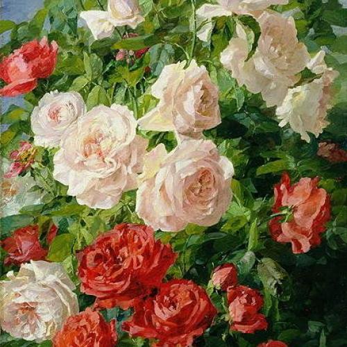 Pierre Garnier Pink Roses