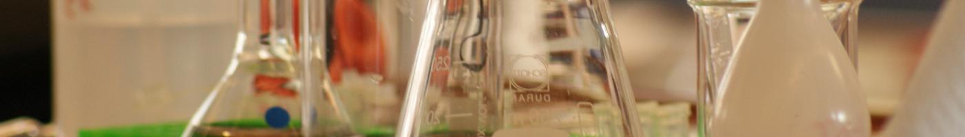 © Regina Knitel, Privat Chemieolympiade 12