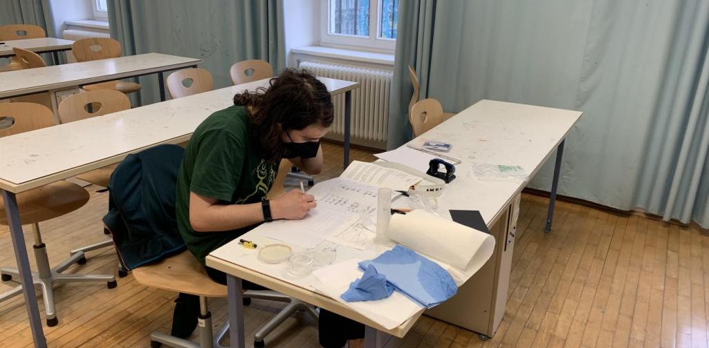 Physikolympiade 2021d Physikolympiade 2021d