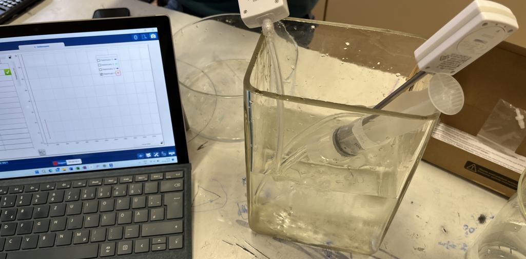 Ein weiteres erfolgreiches Jahr der PHO geht zu Ende! 2