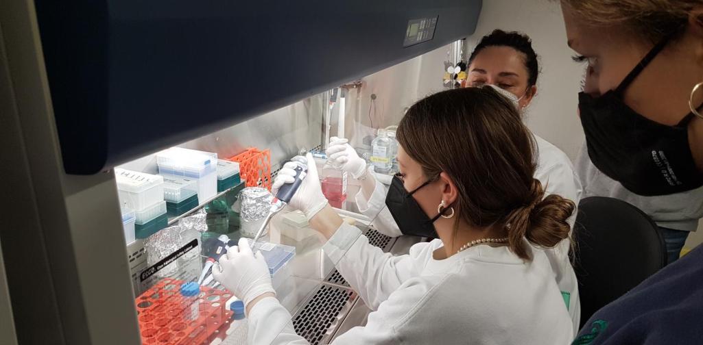 Wahlpflichtfach Biologie 2022