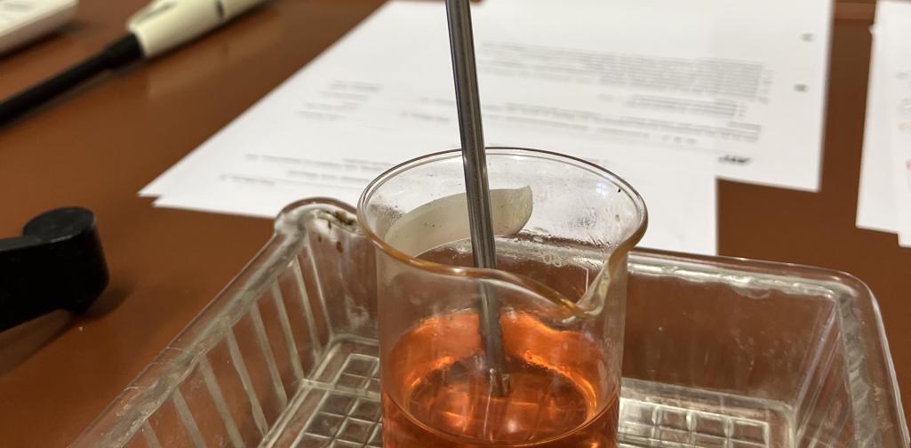 Ein weiteres erfolgreiches Jahr der PHO geht zu Ende! 4